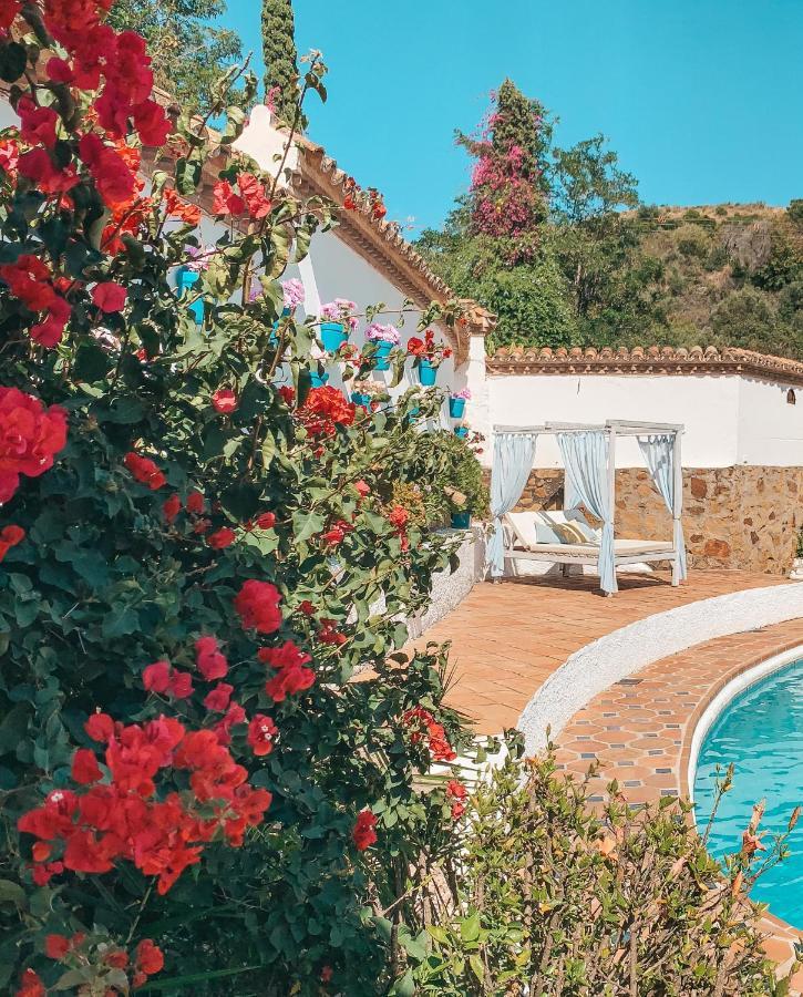 Jardines De La Reina Boutique Tempat Tidur & Sarapan Marbella